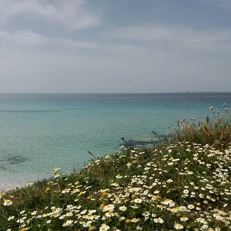 S'arena Scoada Holiday home Putzu Idu